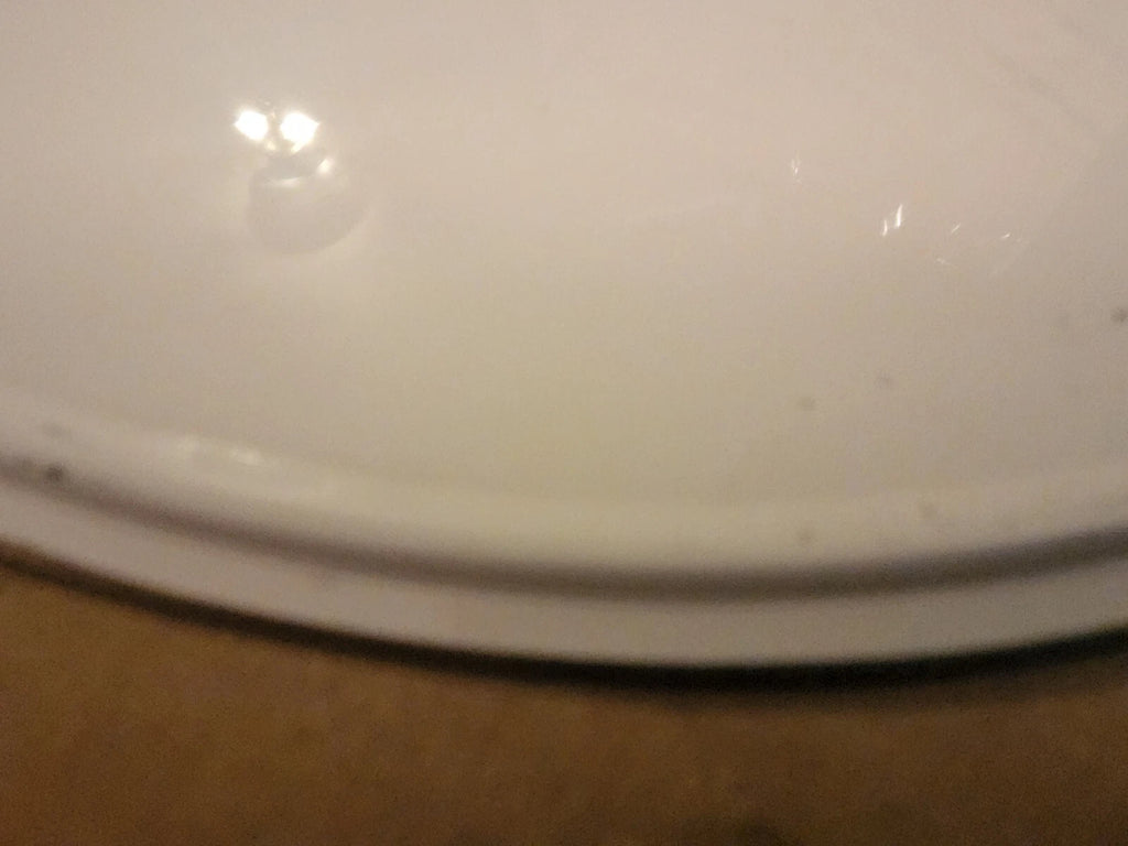 NOS WHITE ALUMINUM OVAL NUMBER PLATES WITH ROLLED EDGE AHRMA VINTAGE